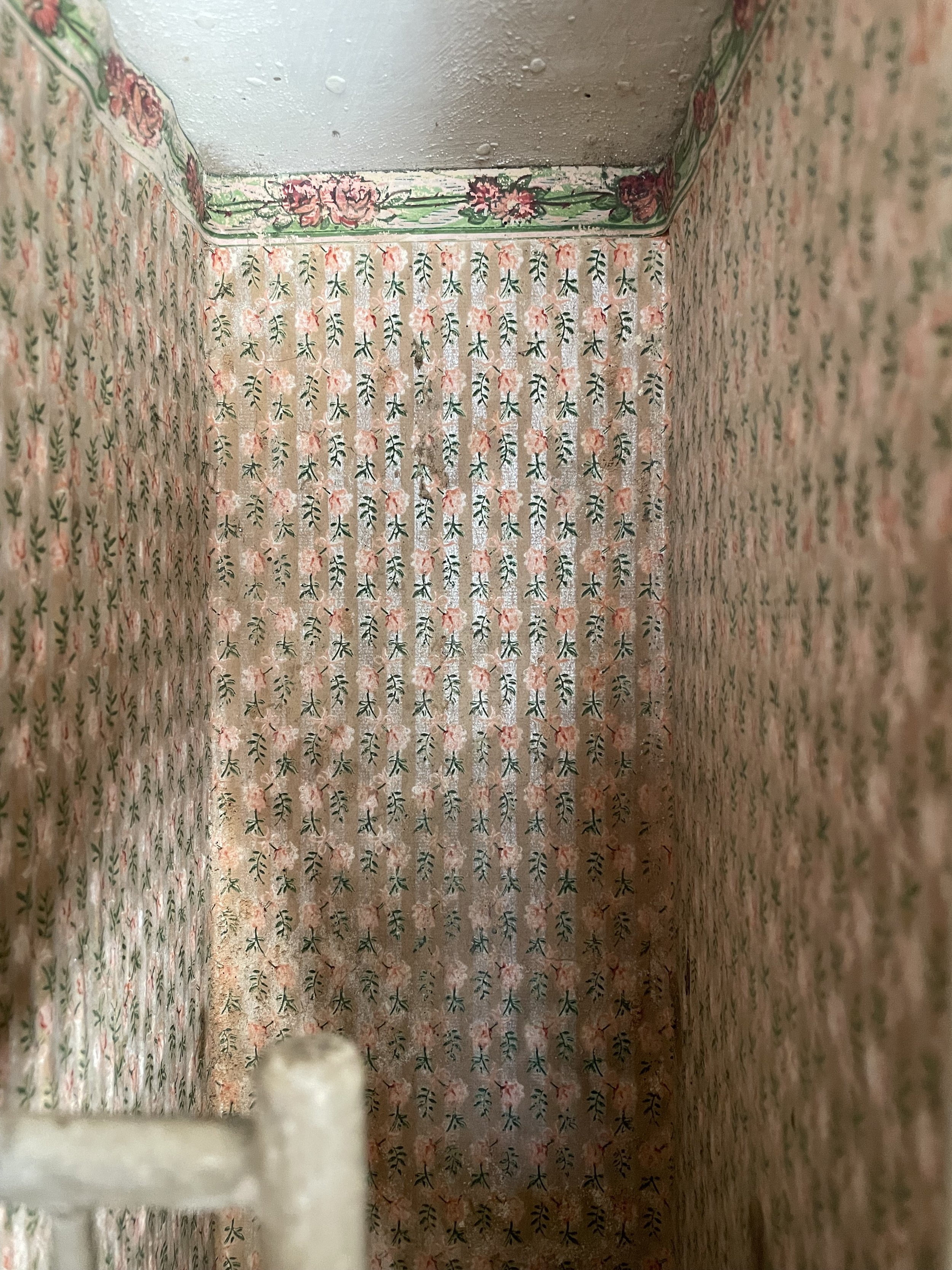 G & J Lines Ltd Dolls House, English 1909