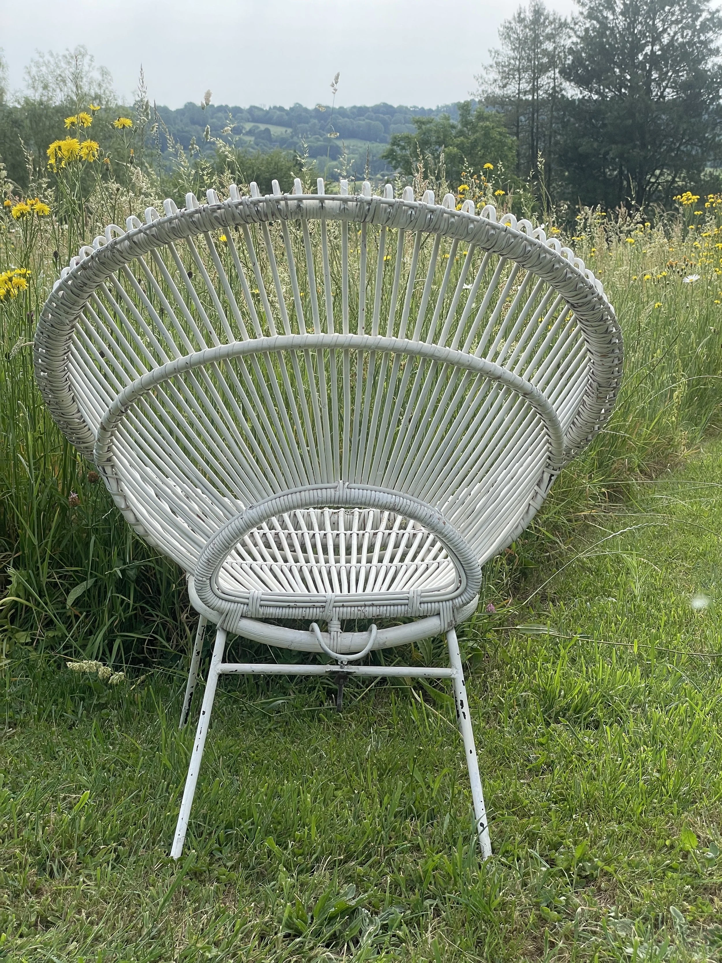 Franco Albini Sunburst Chair
