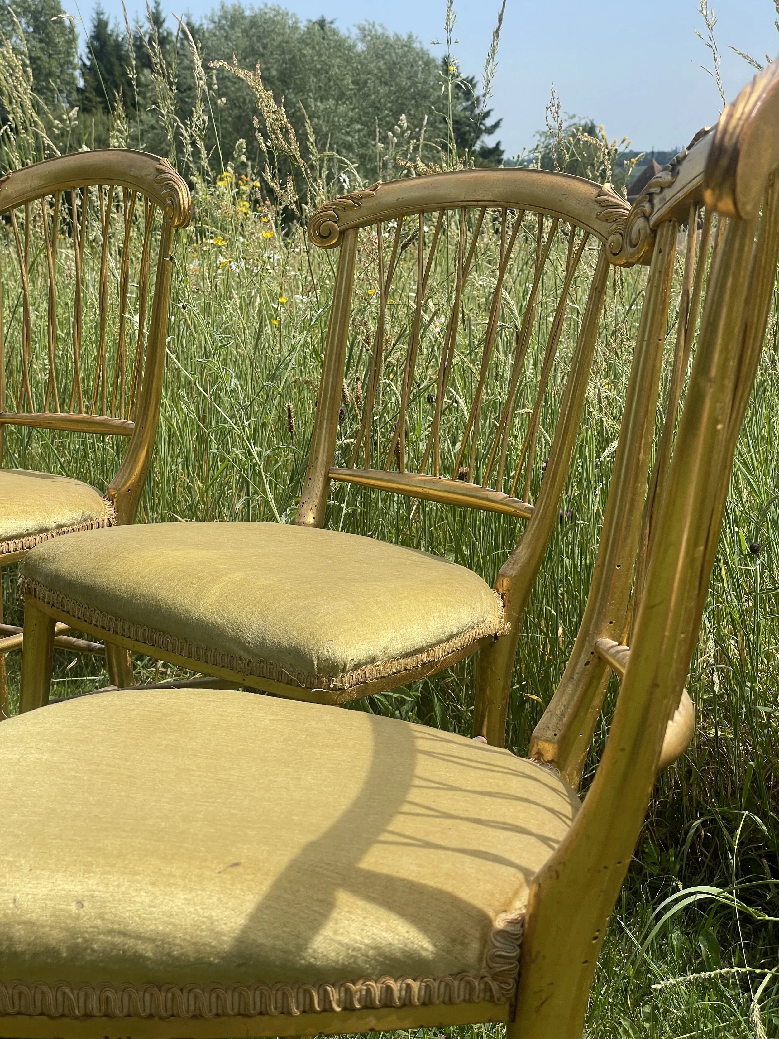 Set of Four French Giltwood Bergère Chairs