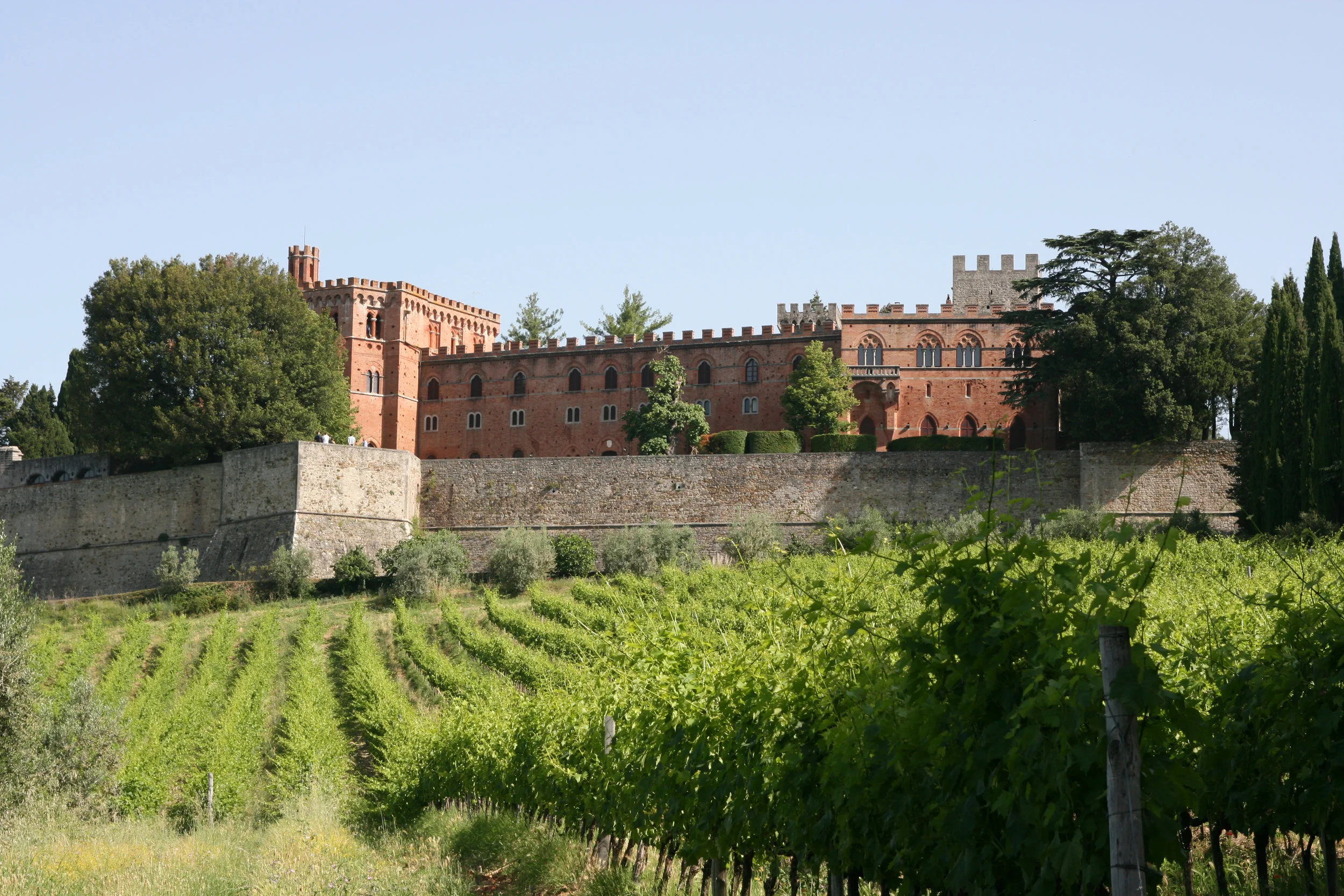 chianti wine tours