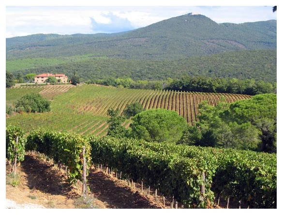 Castiglioncello_7030