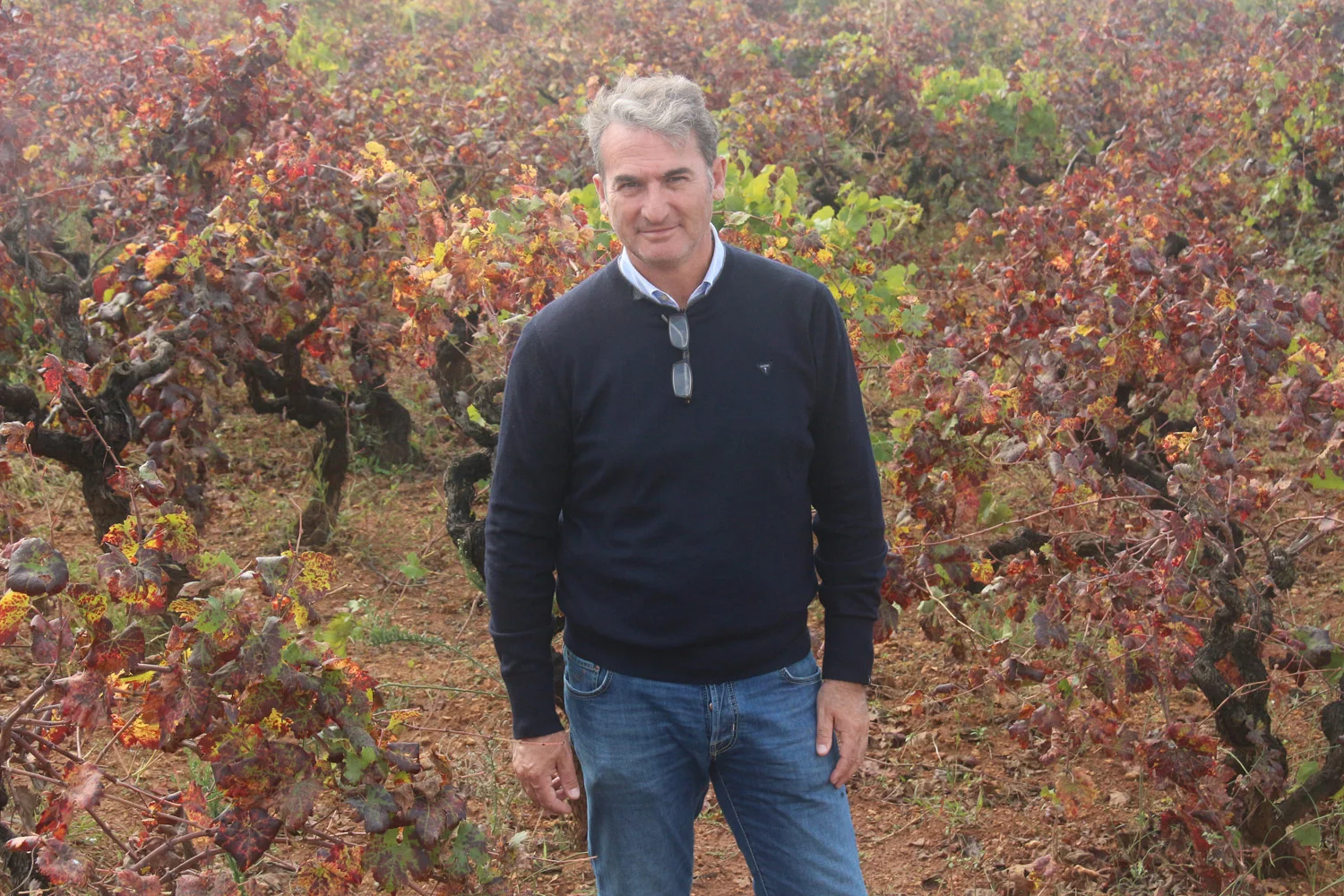 Gianfranco fino, the self-proclaimed "archaeologist of the vineyards, " with his 50-year-old bush-trained Primitivo vines.