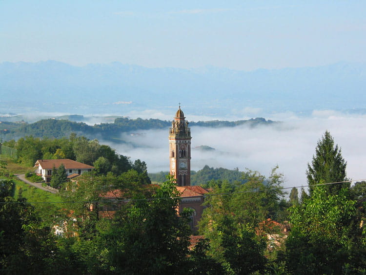 barolo tours