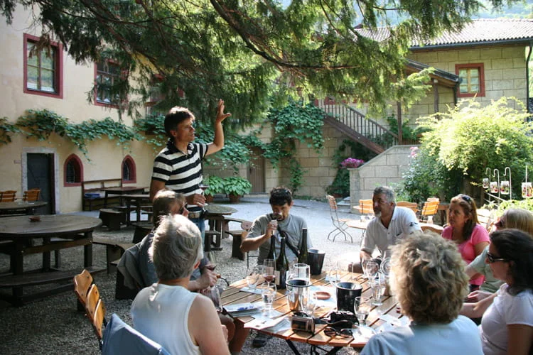 tiefenbrunner winery