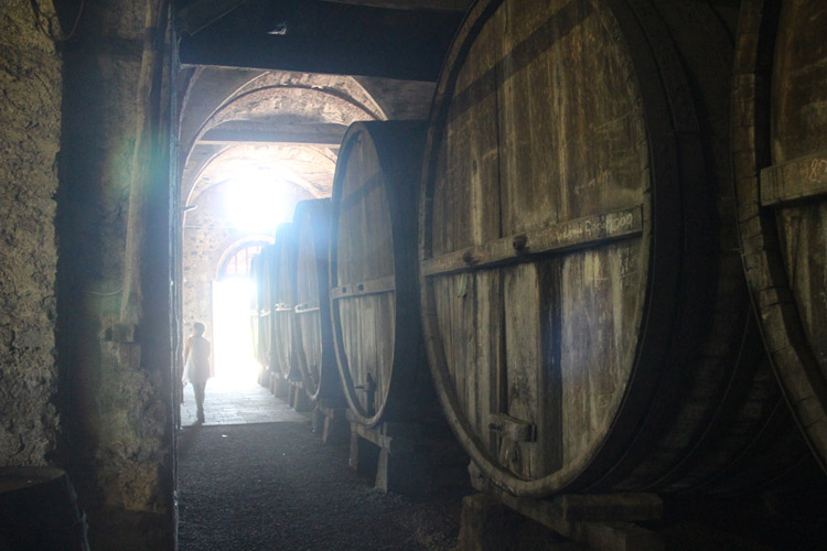 etna winery tours