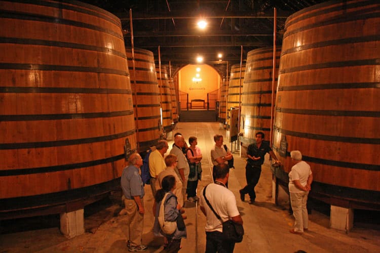 douro valley wine tours