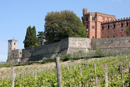 chianti wine tours
