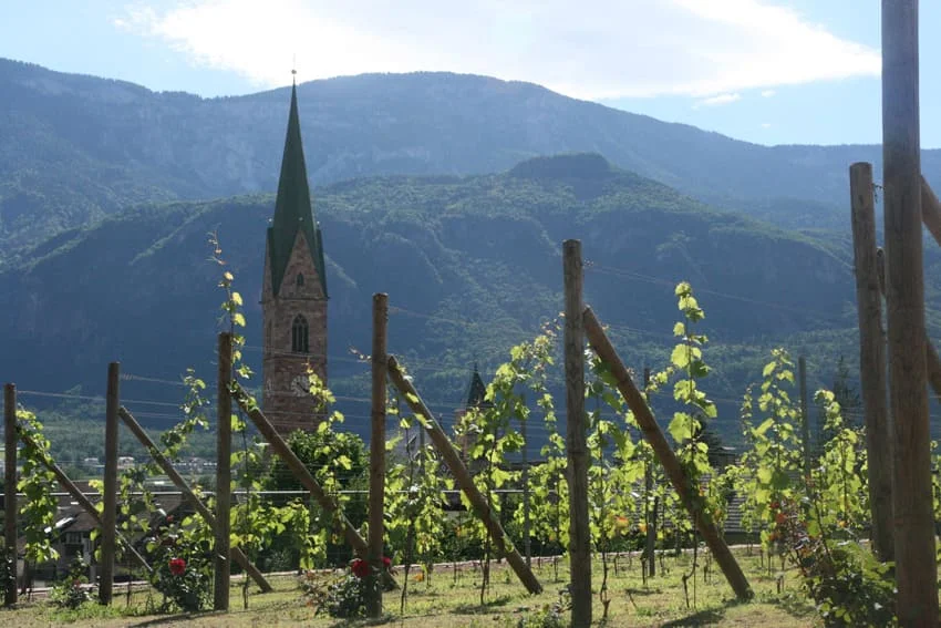 italian alps hiking tours