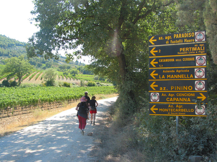 tuscany walking tours