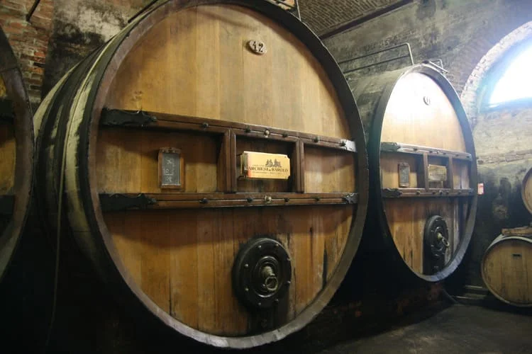 bike tours in barolo