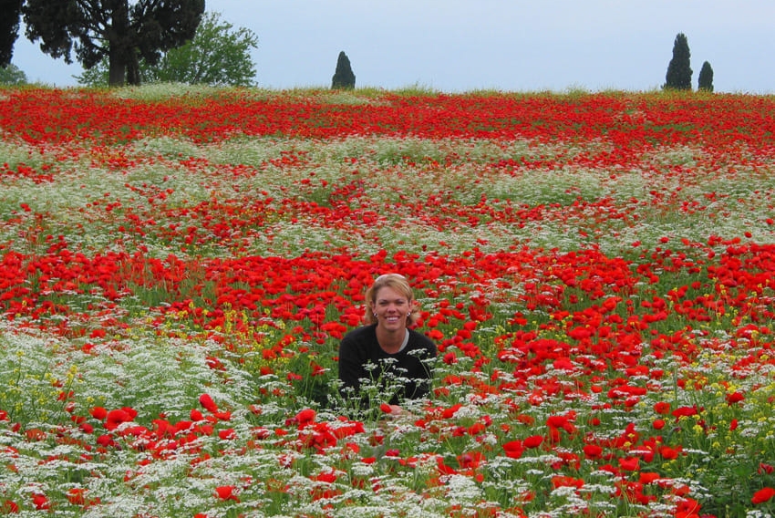 san gimignano bike tours italy