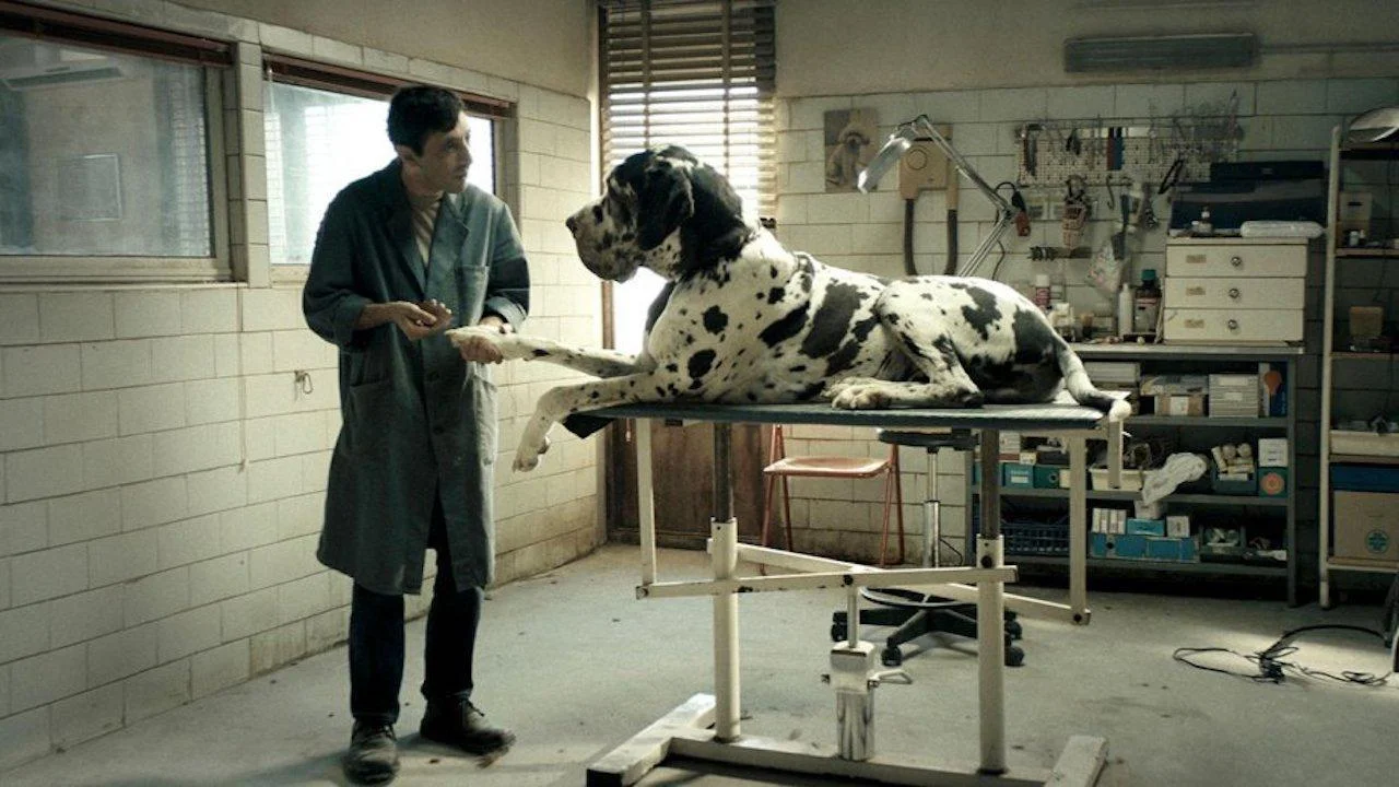 Matteo Garrone’s Dogman
