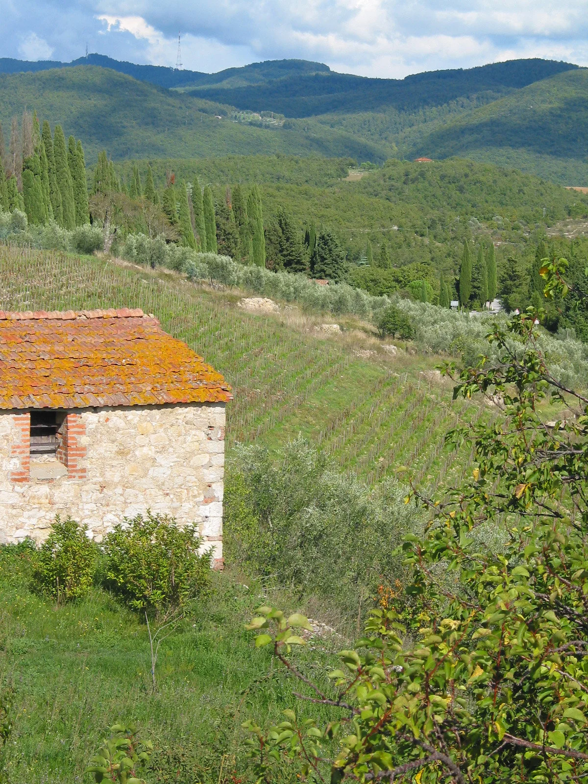 Castello di Cacchiano’s view in Gaiole in chianti. All photographs © Patricia Thomson