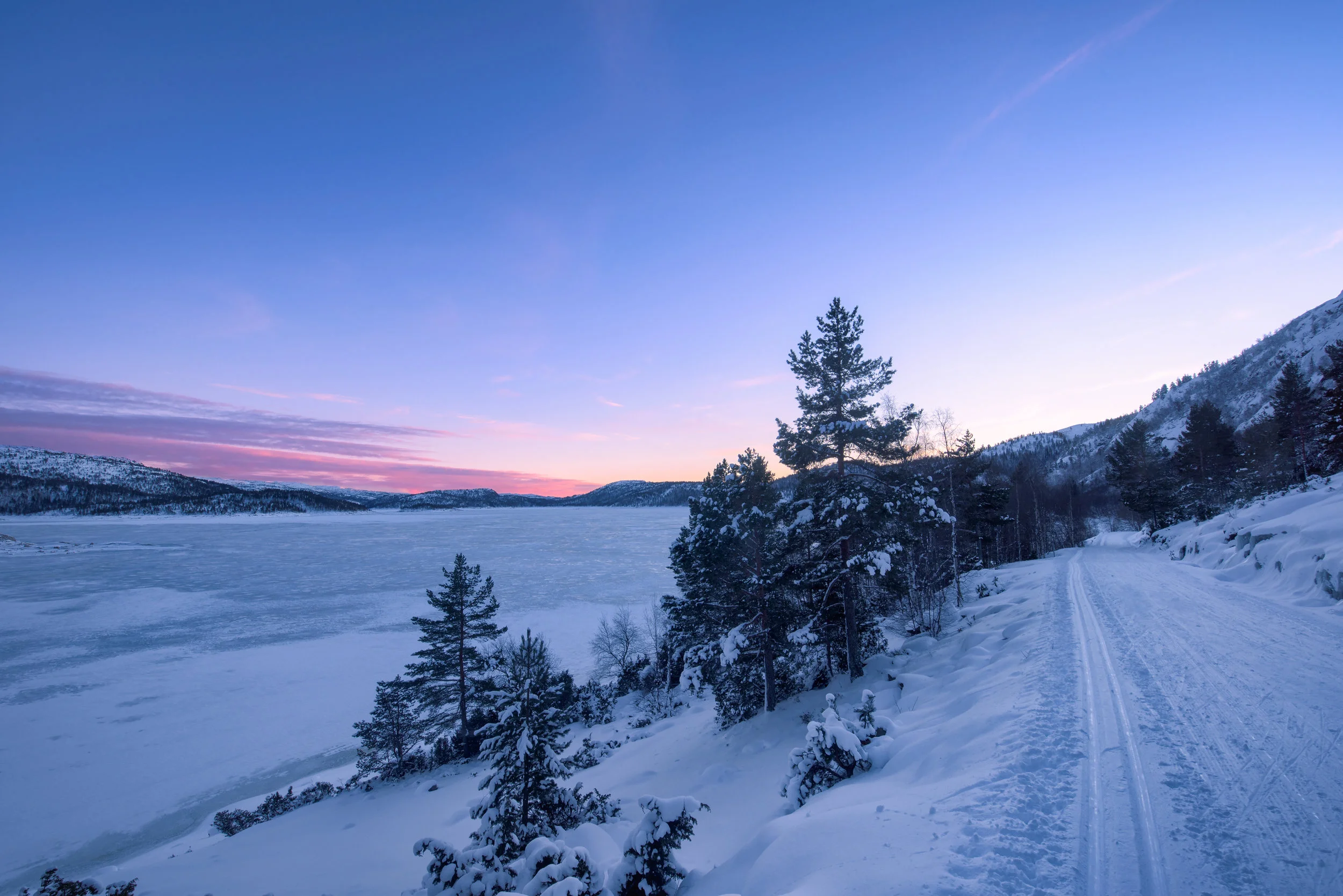 DSC_3752-Edit.jpg