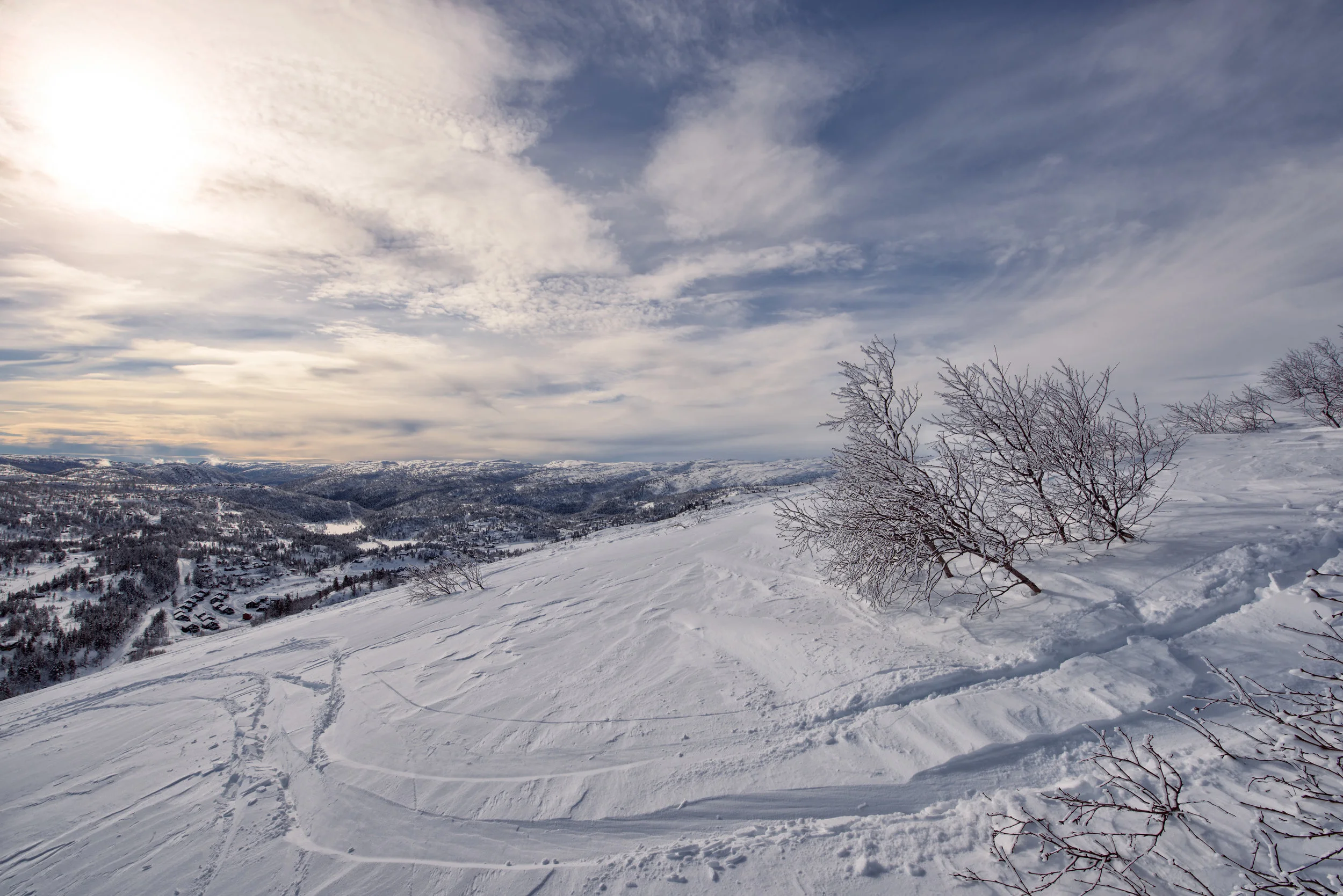 DSC_6864-Edit.jpg