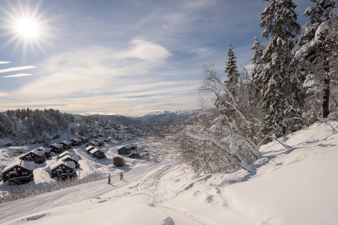DSC_6646.jpg