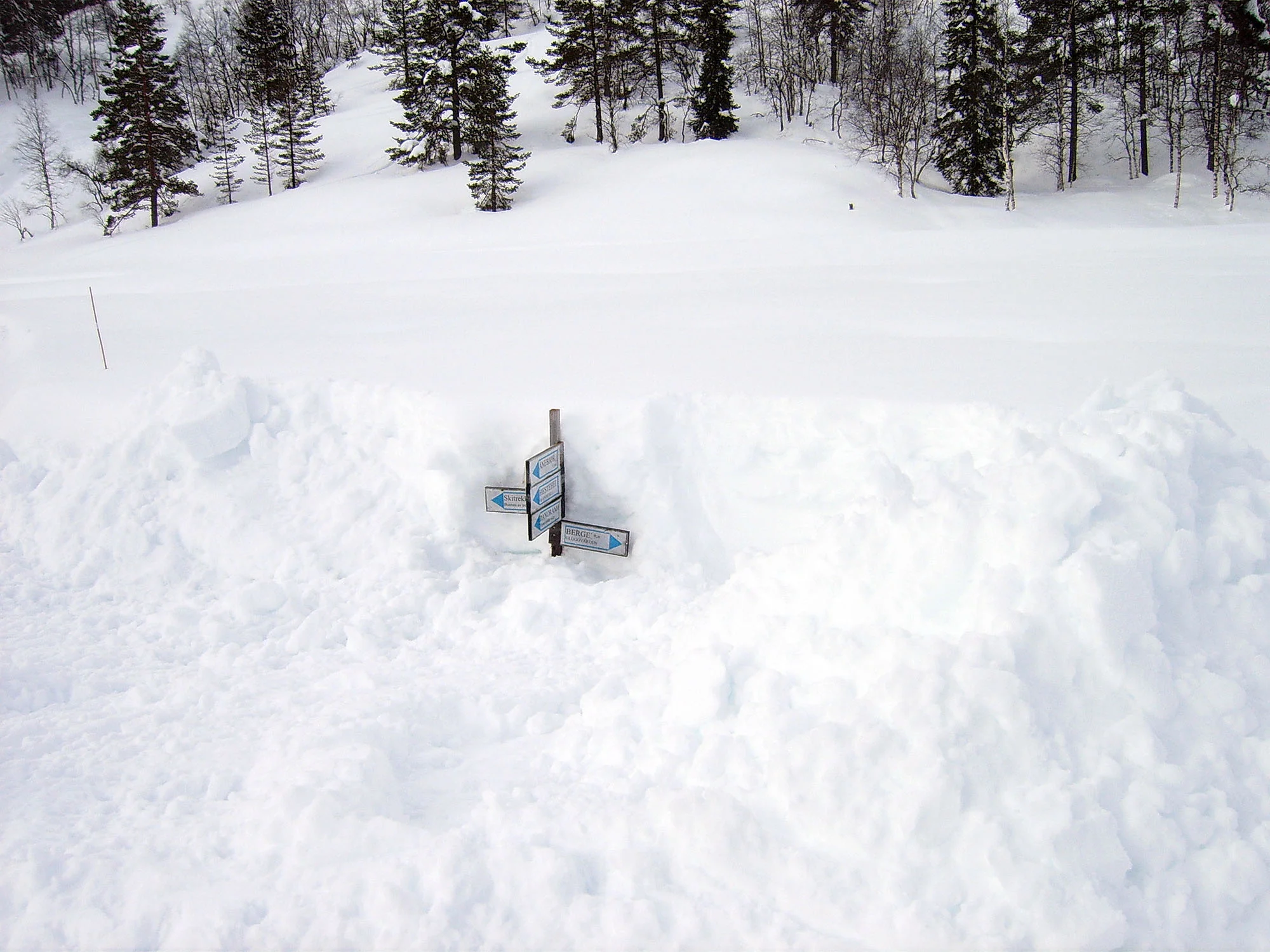 Ole M Homestad - 21 feb 2014 304 cm snø.jpg