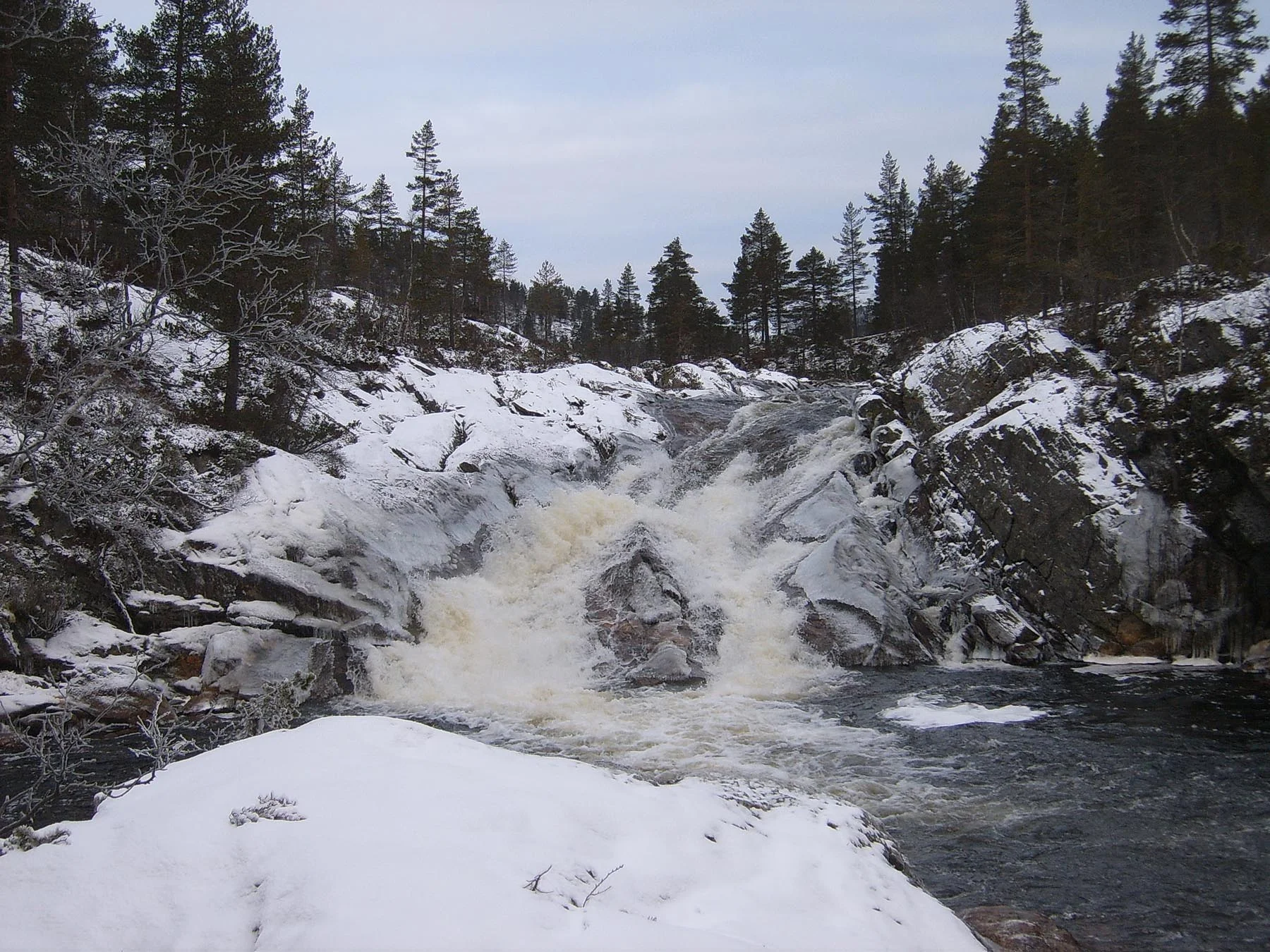 Ole M Homestad - Mot Saurbu.jpg