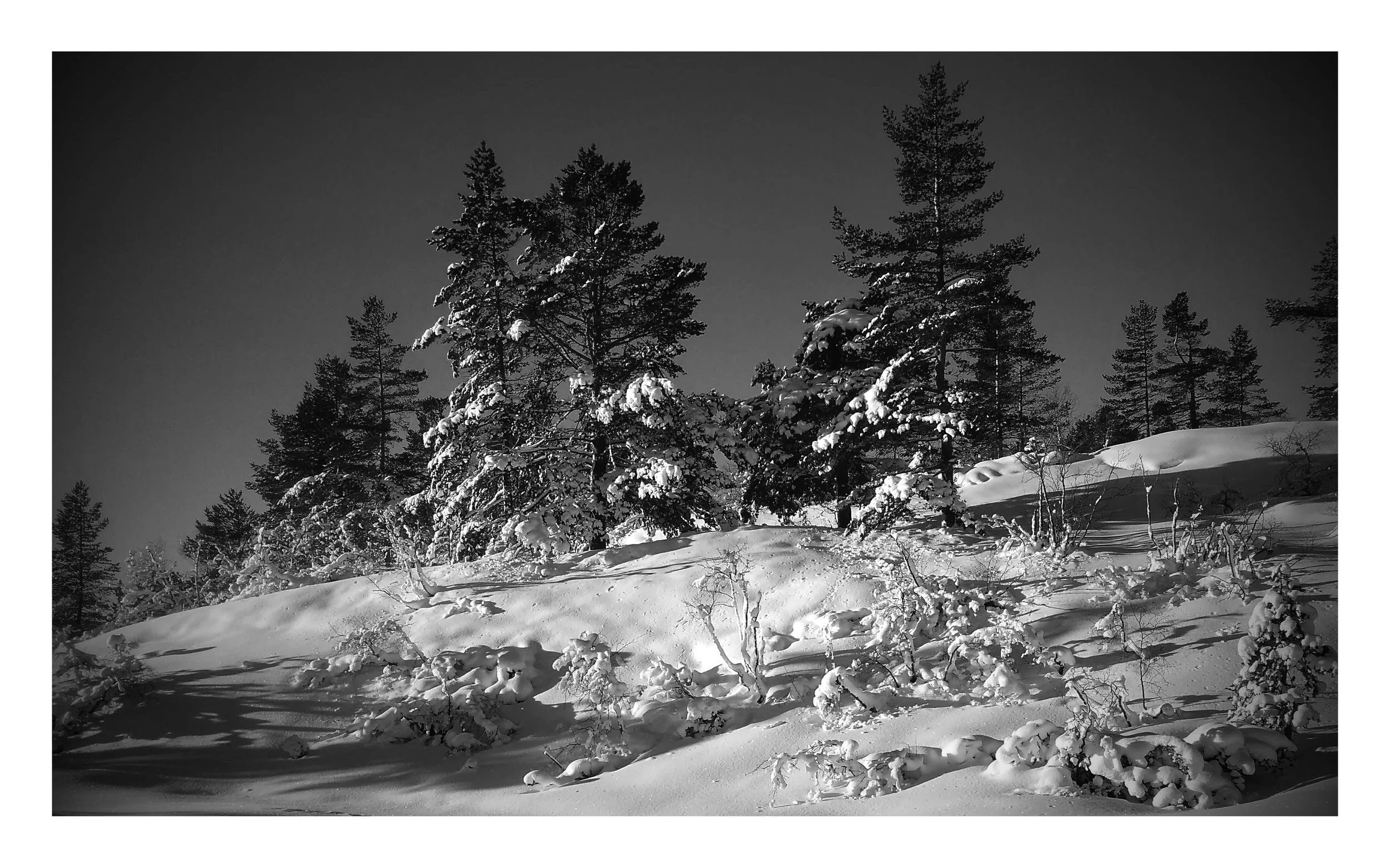 Johan Jakobsen - IMG_20170115_112728-EFFECTS.jpg