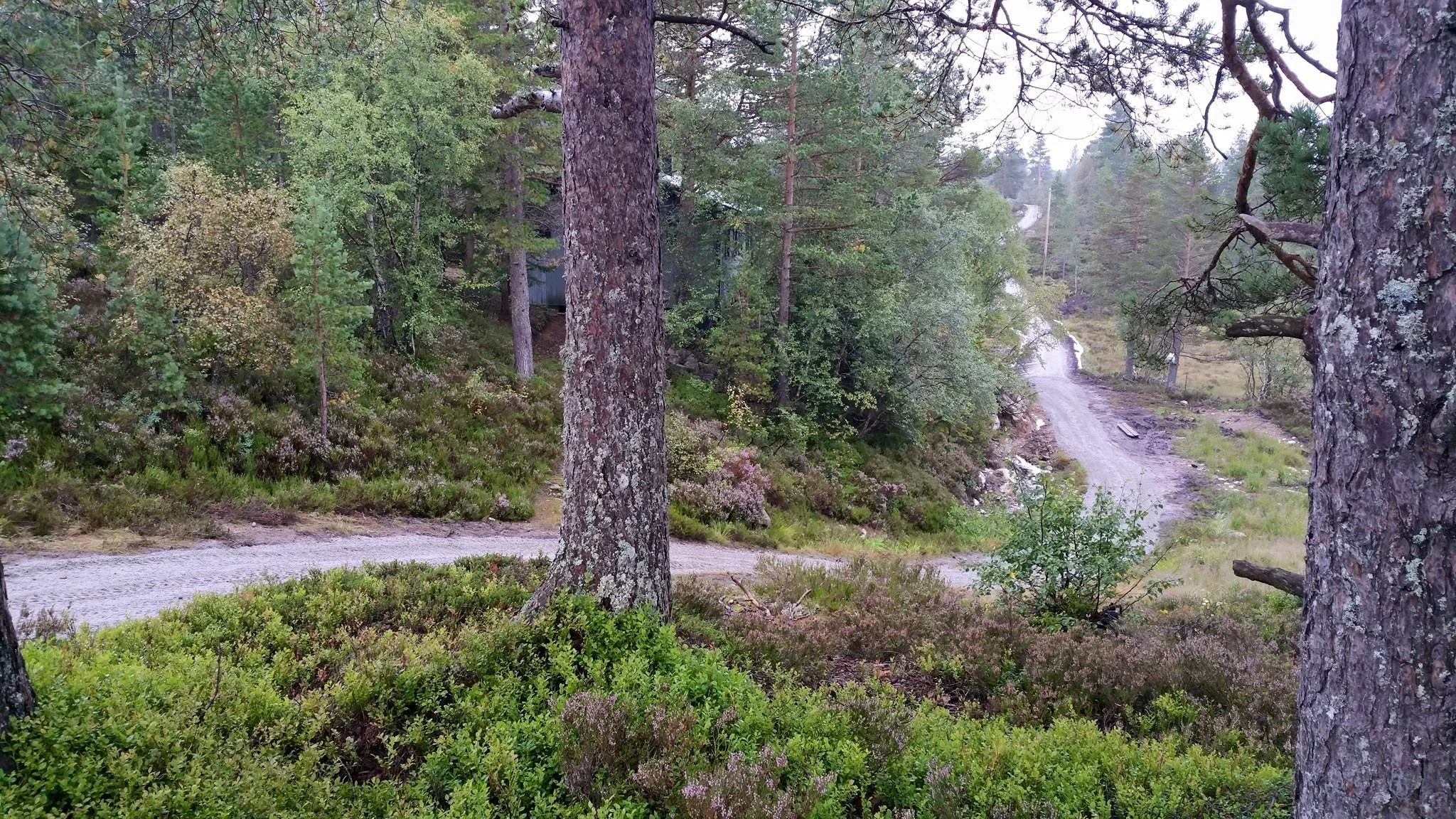Gruset tur- og sykkelløype langs Bjørnen / Hestheiløpa løypa