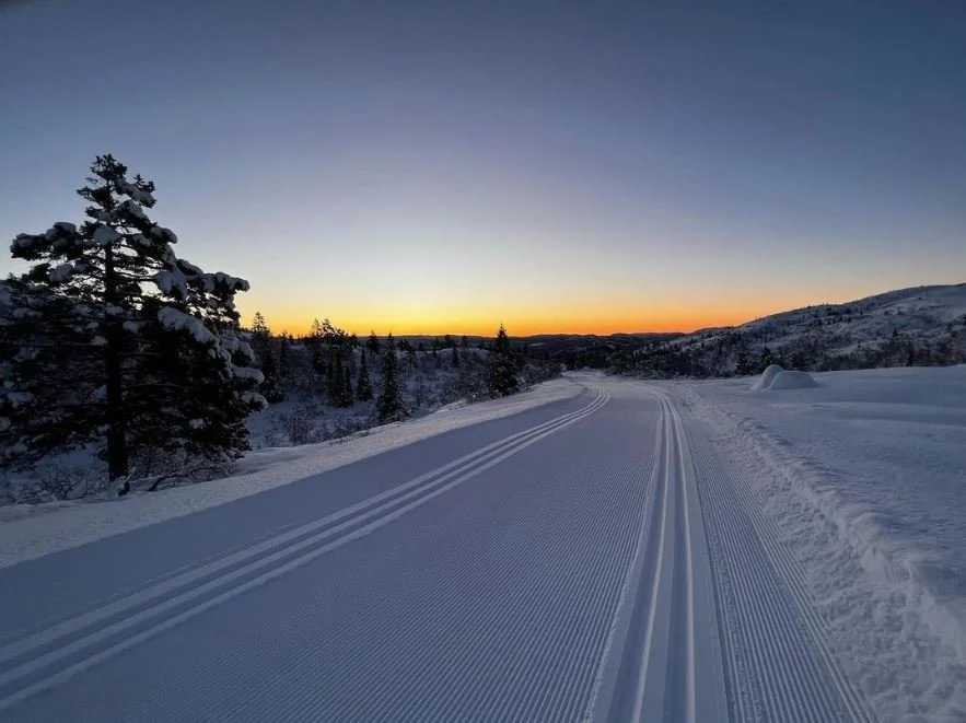 Nyhetsbrev Vinterferie⛄