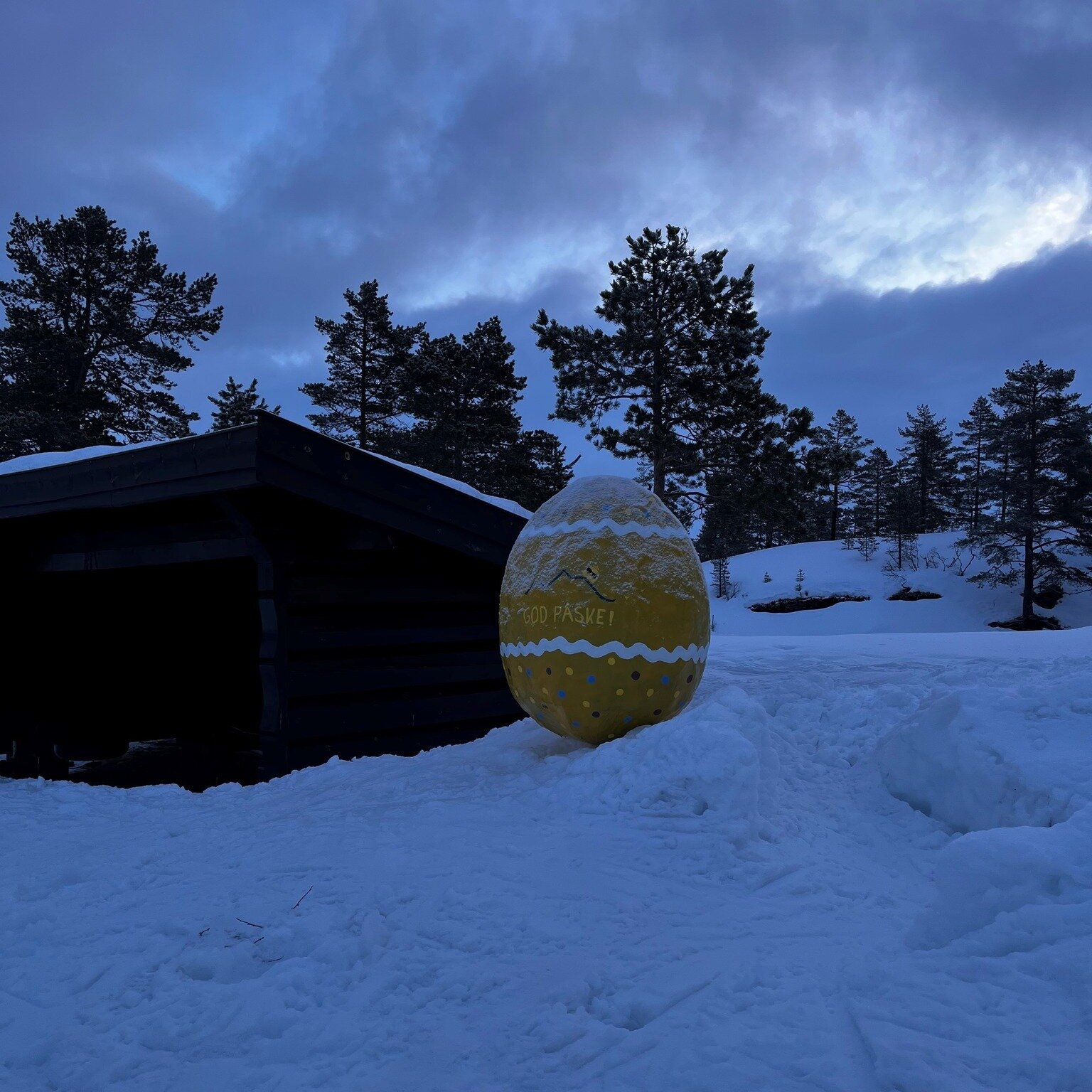 🐣🌲 P&aring; sporet av #P&aring;skeegget2024 fortsetter! 🌲🐣

Hei alle sammen! Det ser ut som om det kanskje var litt vanskelig &aring; finne egget i g&aring;r, s&aring; vi har bestemt oss for &aring; la det st&aring; p&aring; samme stedet en dag t