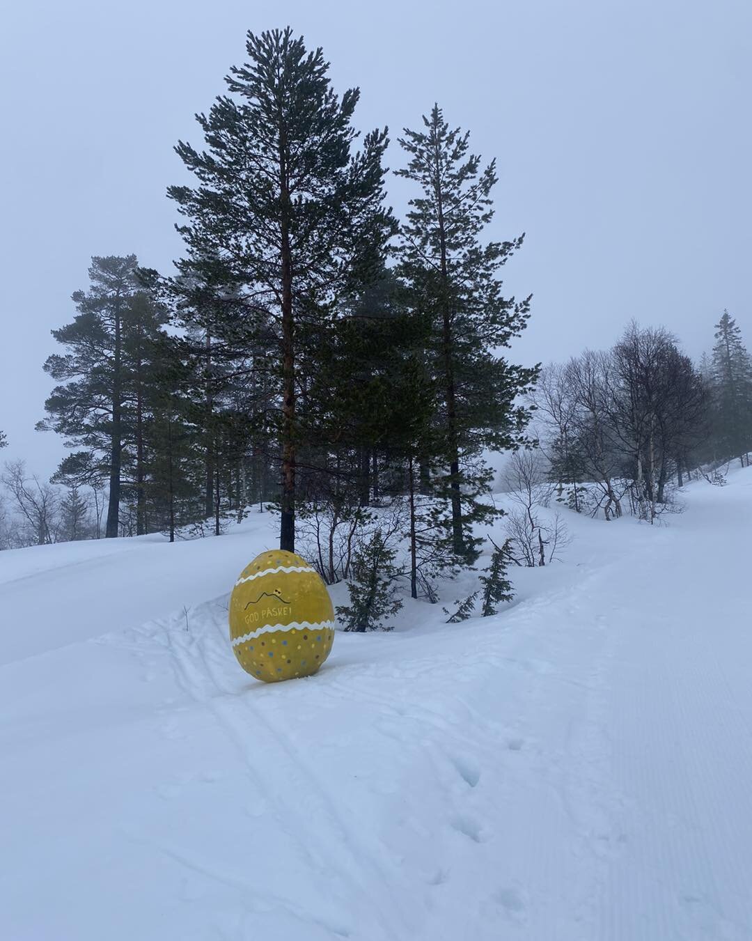 🐣 P&aring; sporet av #p&aring;skeegget2024 🐣 
I l&oslash;pet av morgentimene ble det fine egget v&aring;rt stj&aring;let og tatt med til et nytt sted. 😱
Tyven ble tatt p&aring; fersken, men vi trenger litt hjelp av dere til &aring; finne egget igj