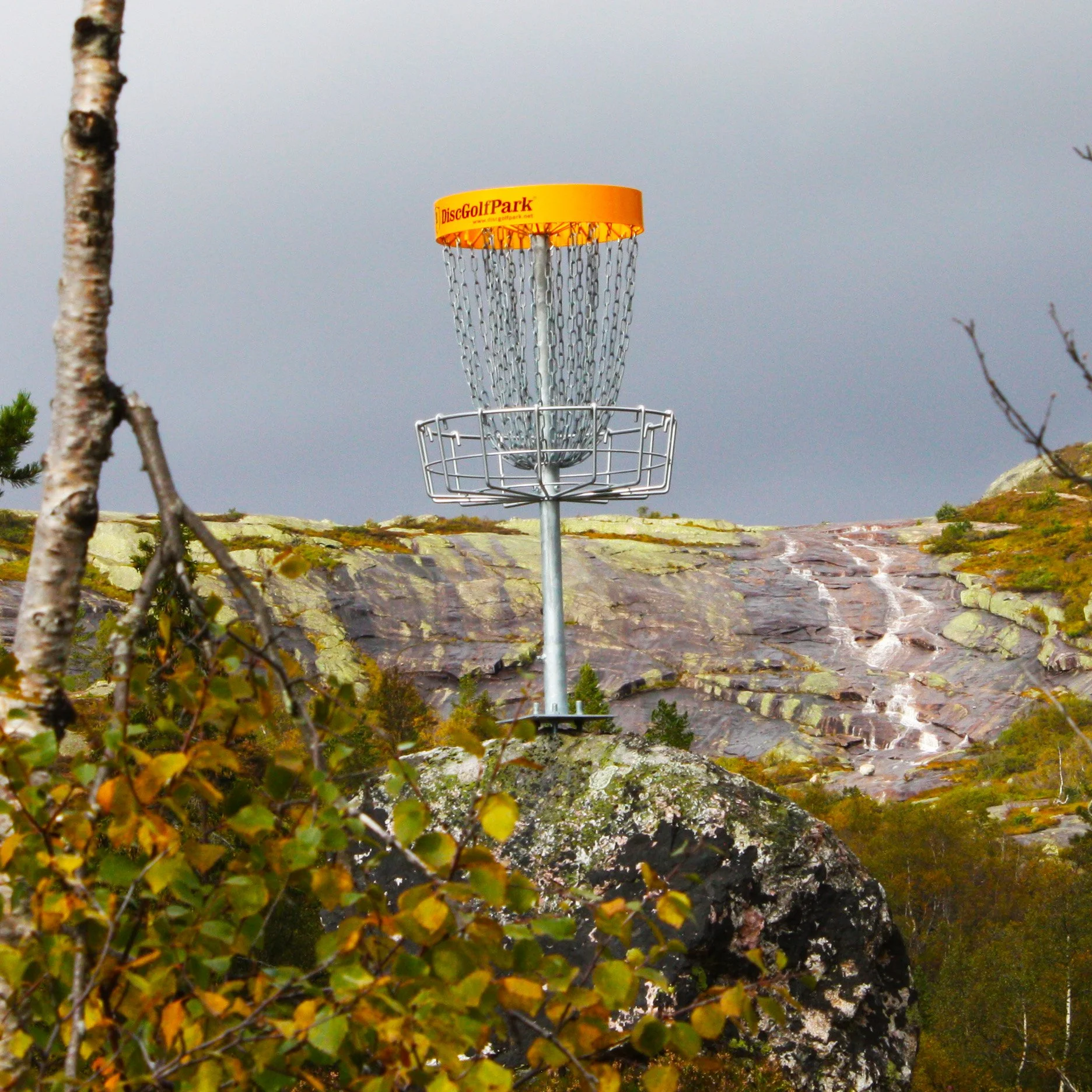 ….Frisbeegolf på Bortelid..Discgolf in Bortelid….