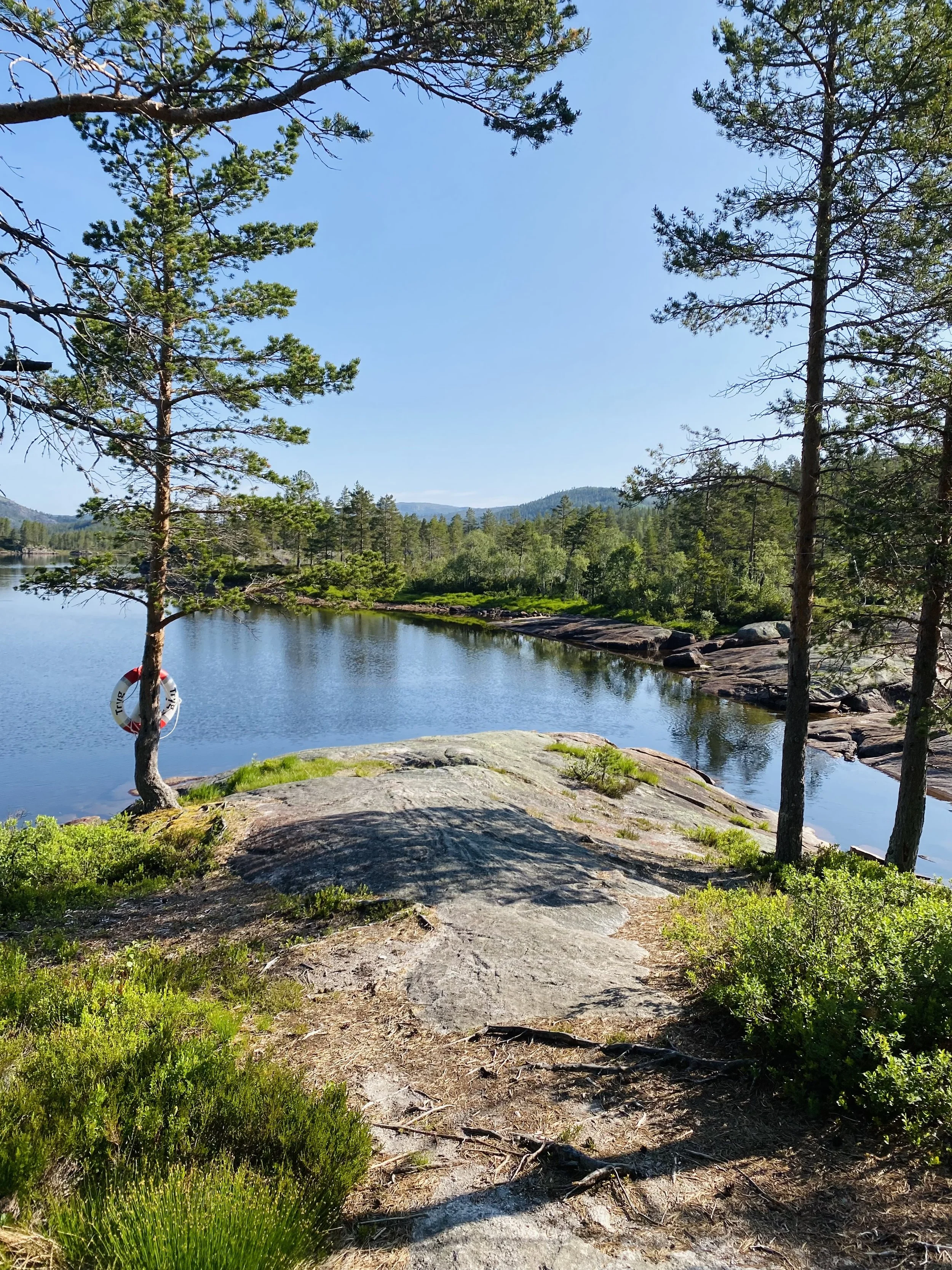 Kåring av årets bilde!