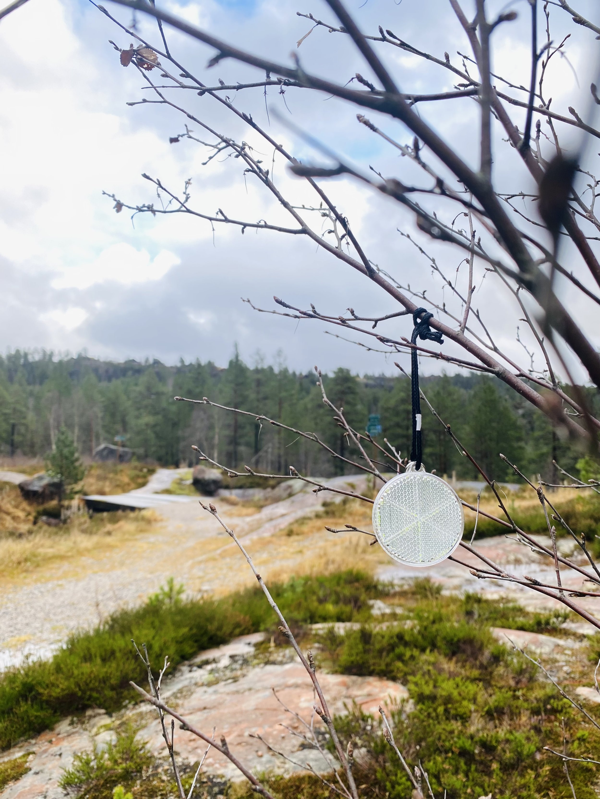Refleksløype.jpg