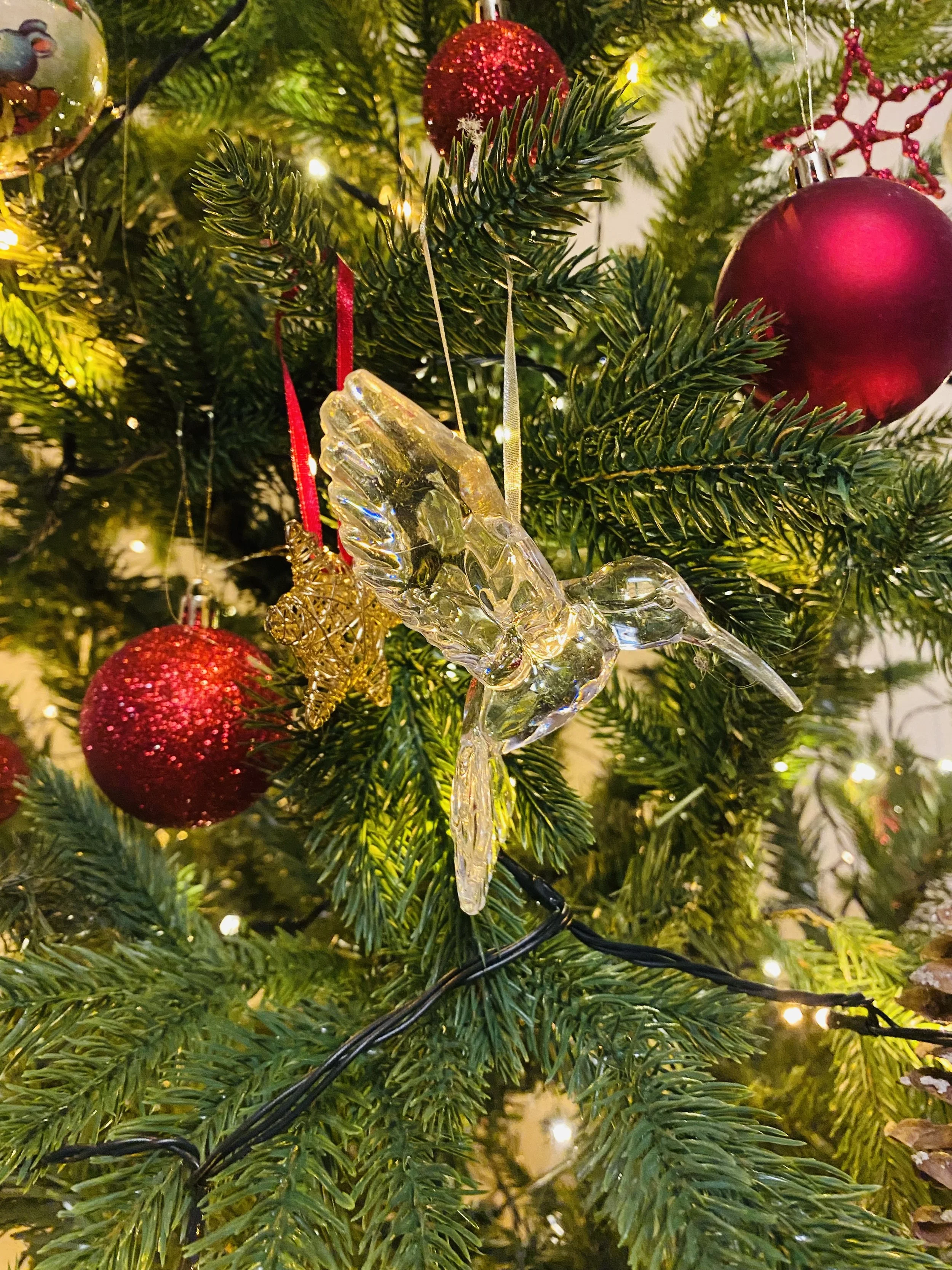 Nyhetsbrev Juleferie🎄