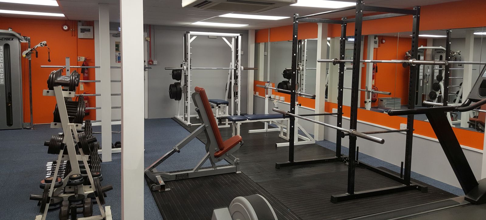Gym F4LT.jpg