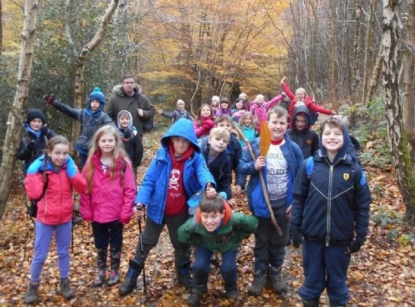 Woods.jpeg