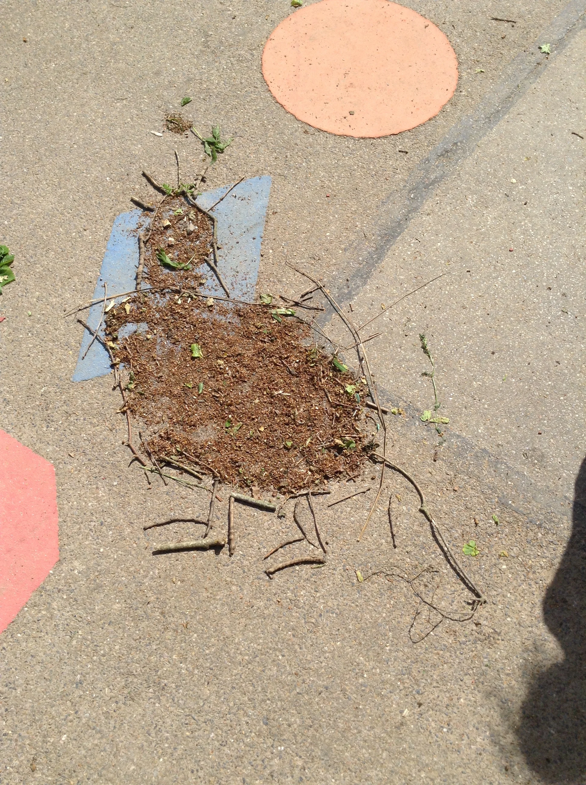 Roar Outside Learning!