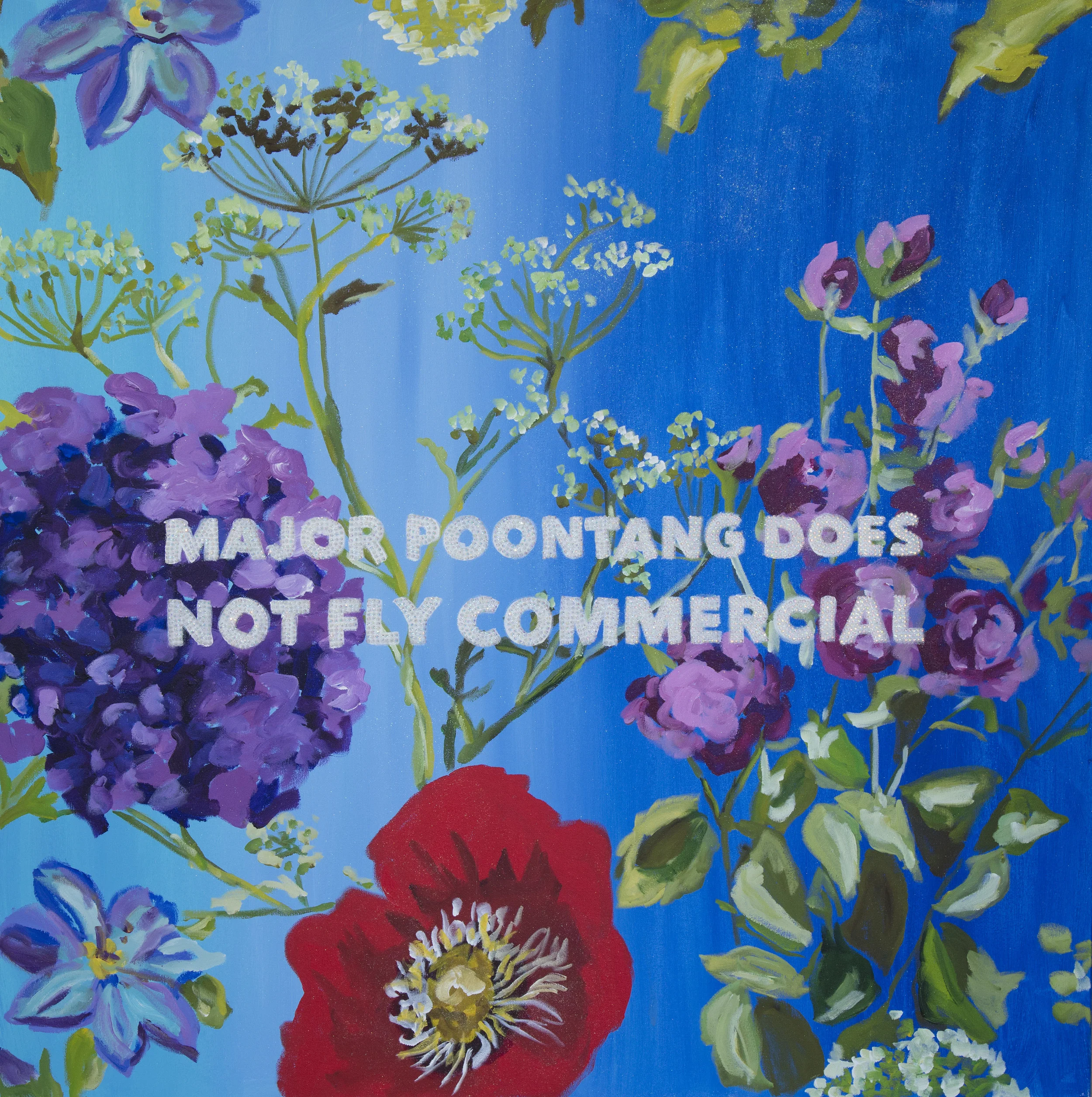 major-poontang-does-not-fly-commercial-pb-1y1a3032