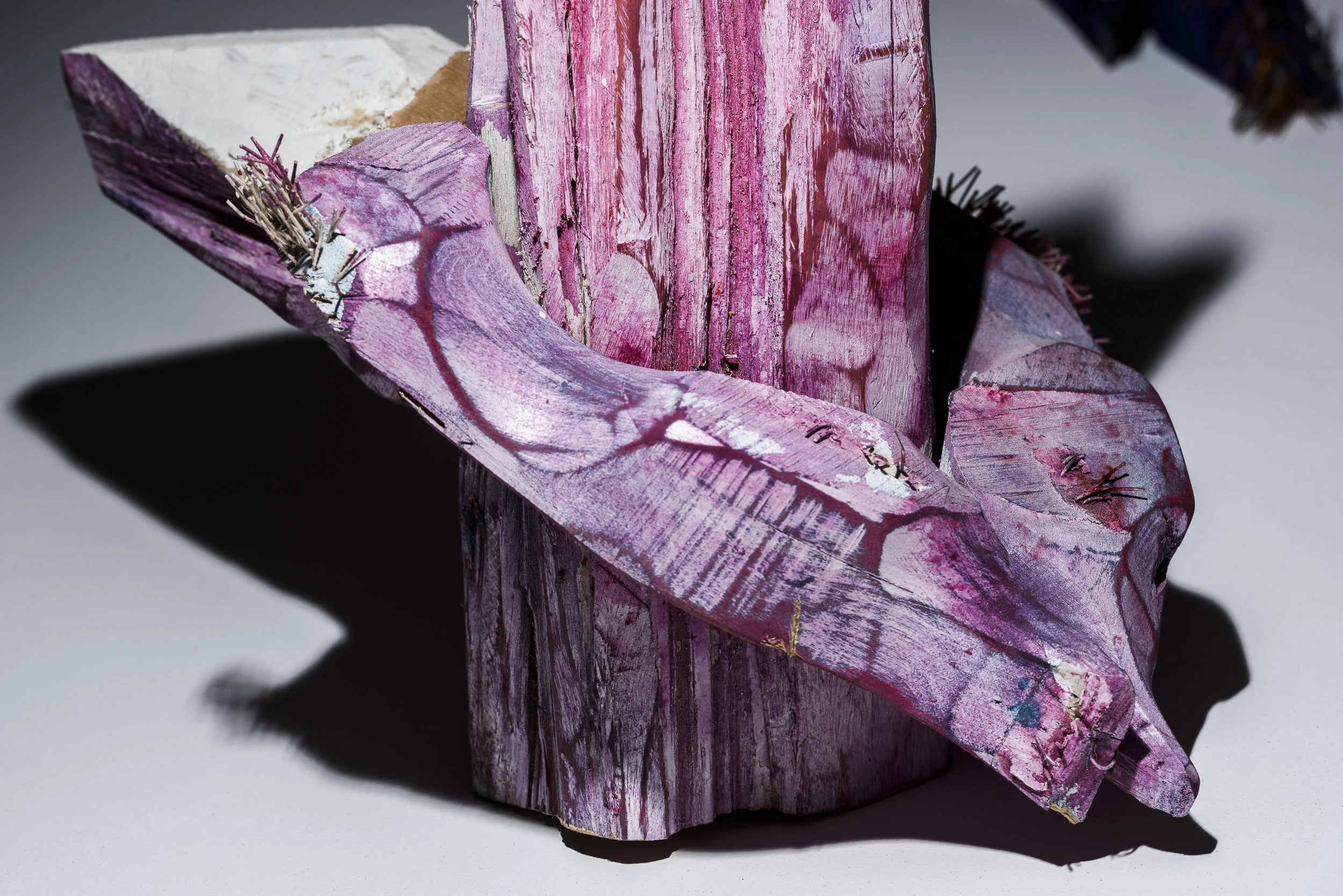 CONFERENCE OF BIRDS-30.JPG