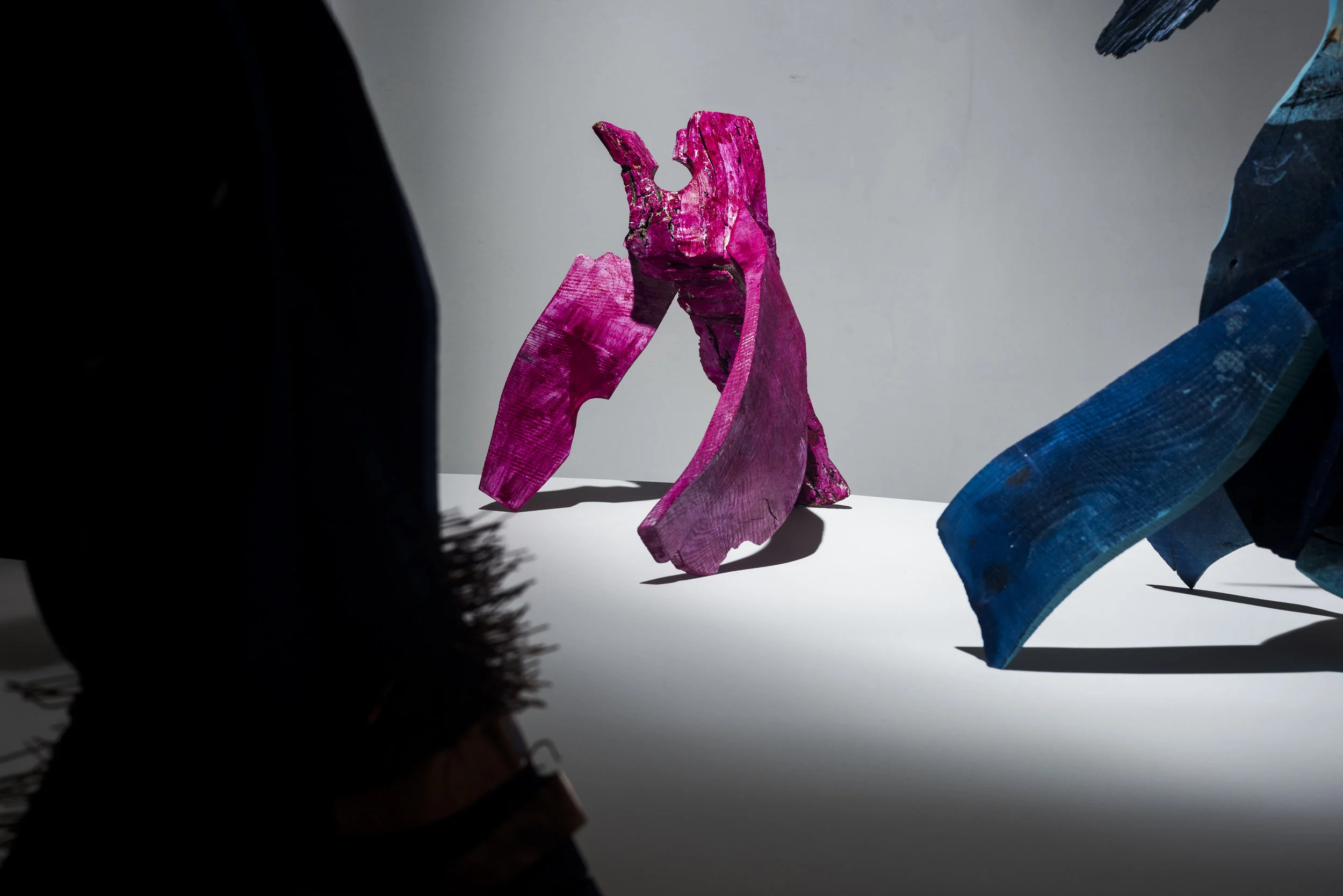 CONFERENCE OF BIRDS-20.JPG