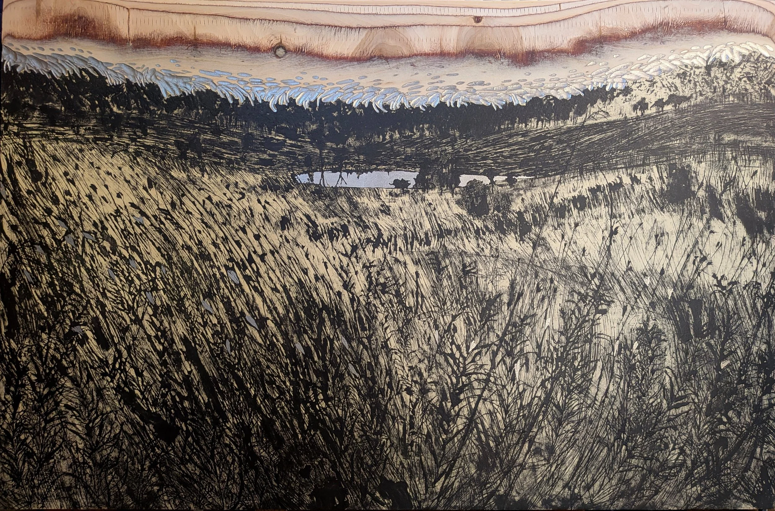 PXL_20260429_212918493~2 (1).jpg