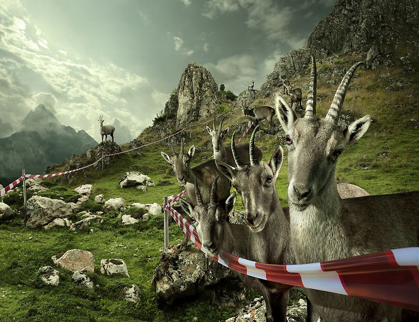  client: Transilvania Adventure Trophy  agency: McCann Bucharest  photographer: Ionut Macri 