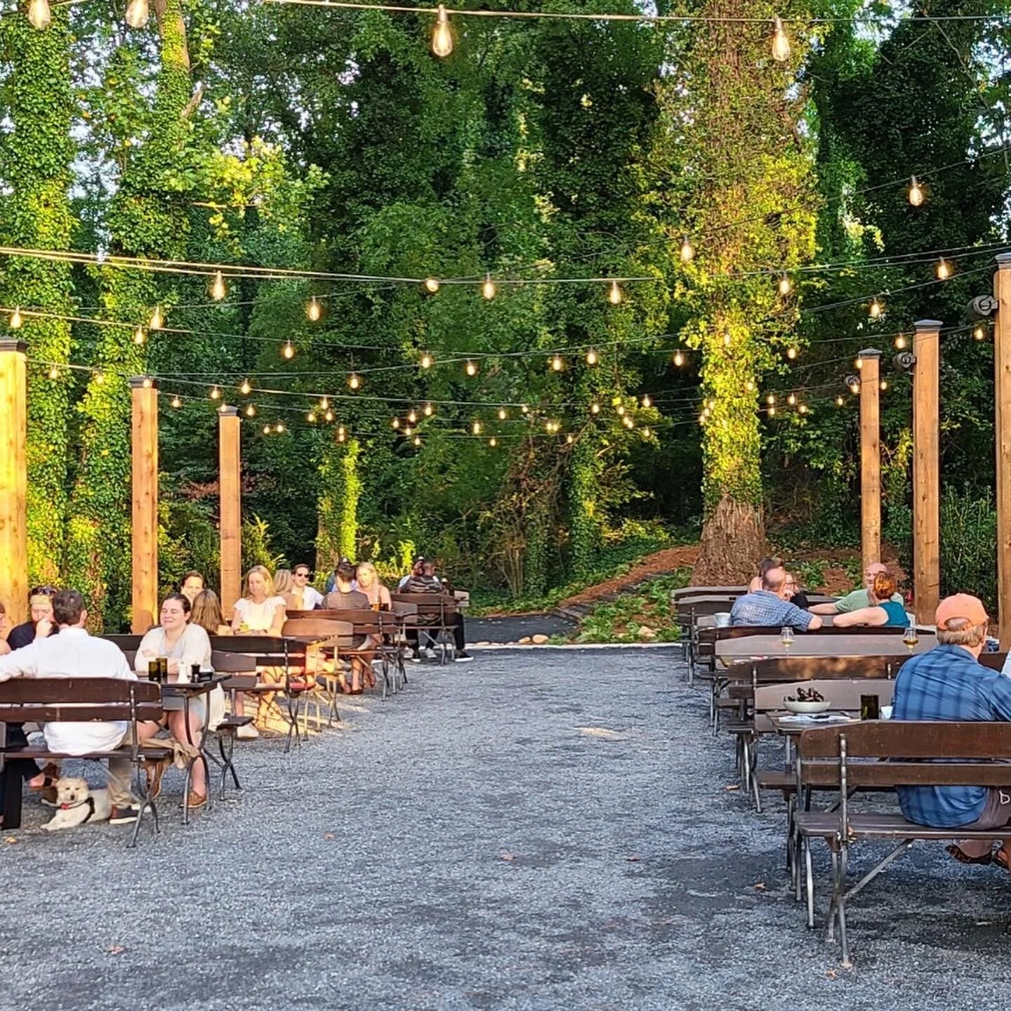 Brewed To Serve Restaurant Group