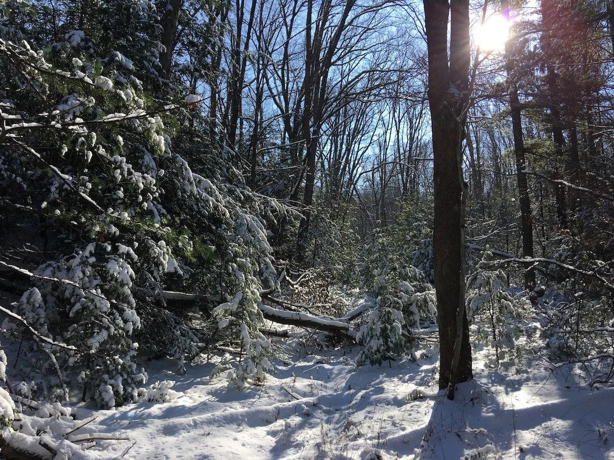  Care and Connection in these Challenging Times