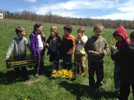 farm camp.jpg