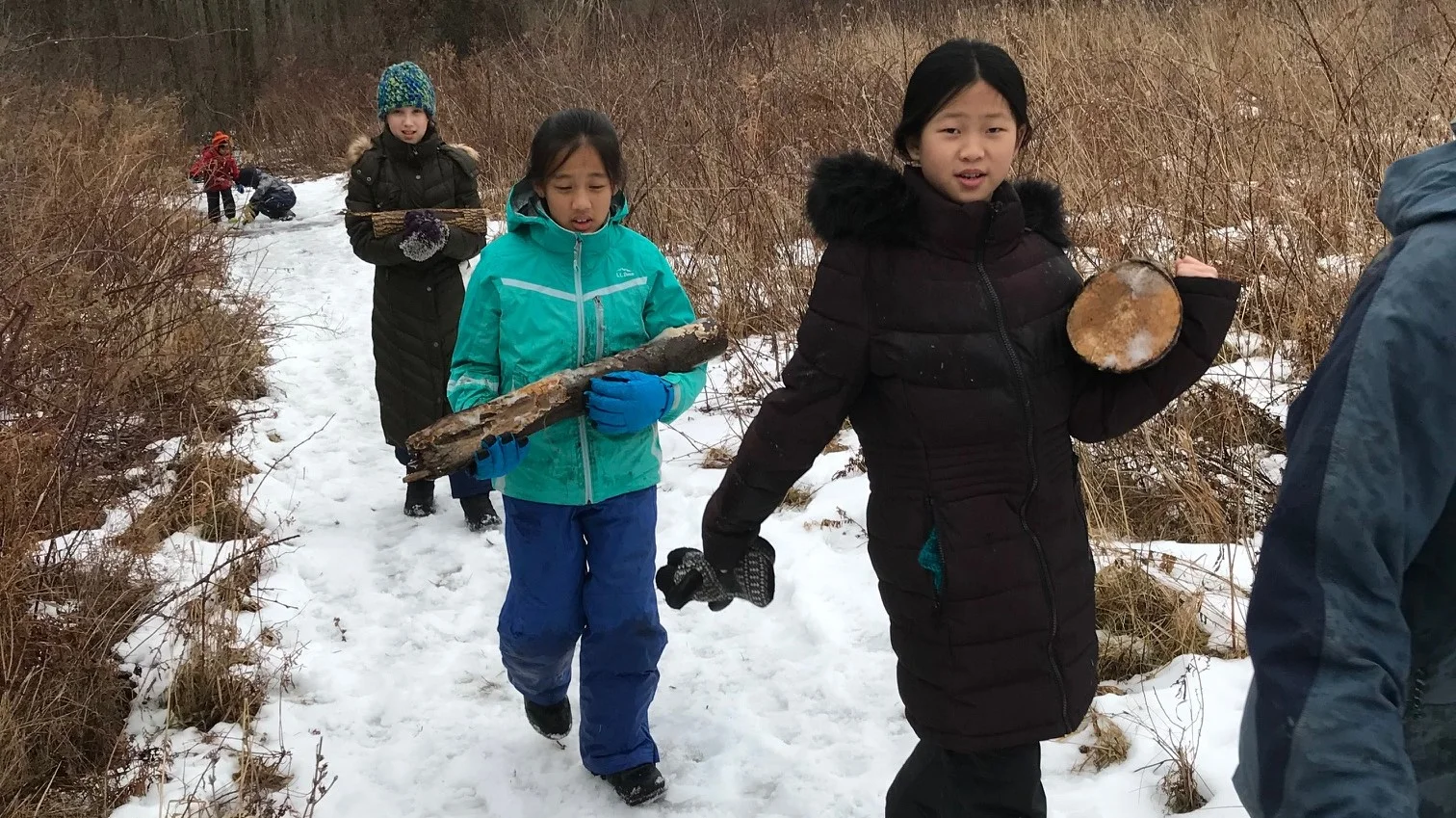 Stairs, Lilly_Maple firewood gathering_January 2018.jpg