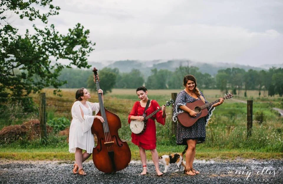 Live Music: The Fly Birds