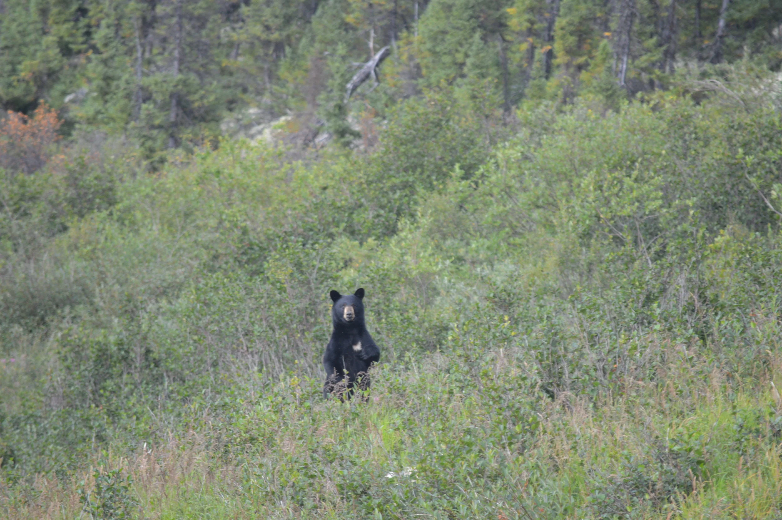 DSC_0079.JPG