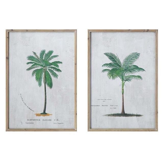 Check out these gorgeous prints! Those palm trees make us feel like we are being transported back in time 🌴 These prints are 27.5&rdquo; W x 39&rdquo; H.

#palmtrees #prints #decor #homedecor #furniture #thebahamas #nassaubahamas #oasislivingbahamas