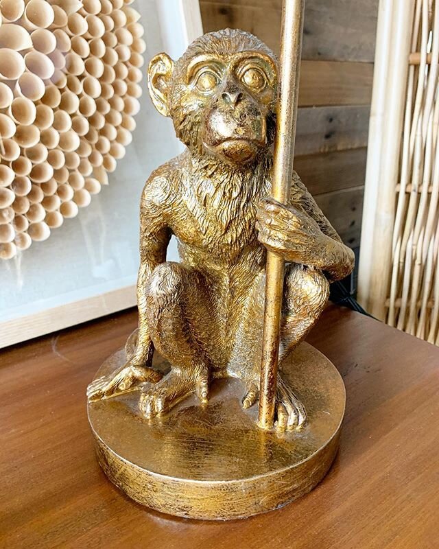 How great is this monkey lamp? 🐒

#homedecor #lamp #furniture #decor #nassaubahamas #thebahamas #oasislivingbahamas