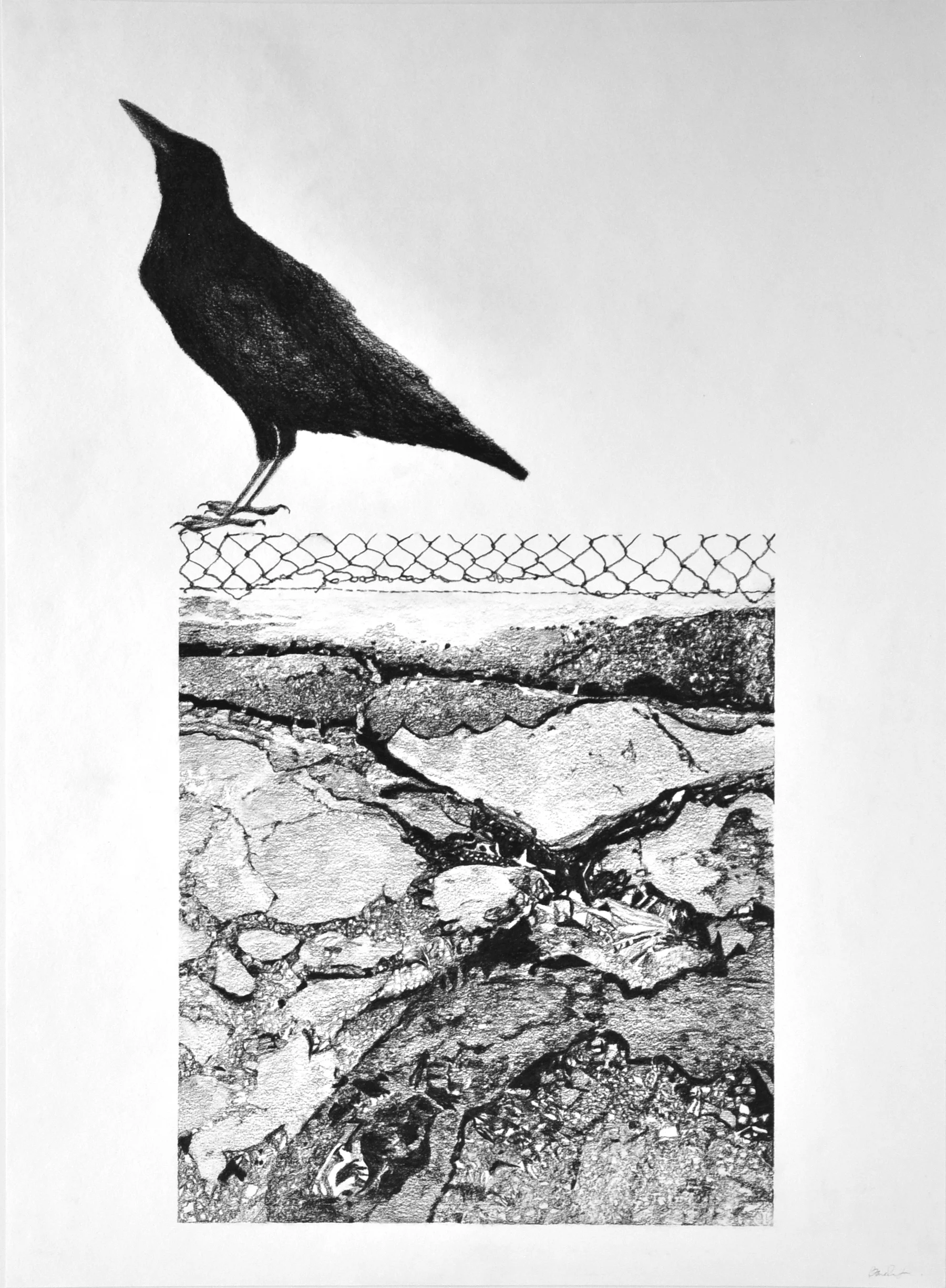 fence line