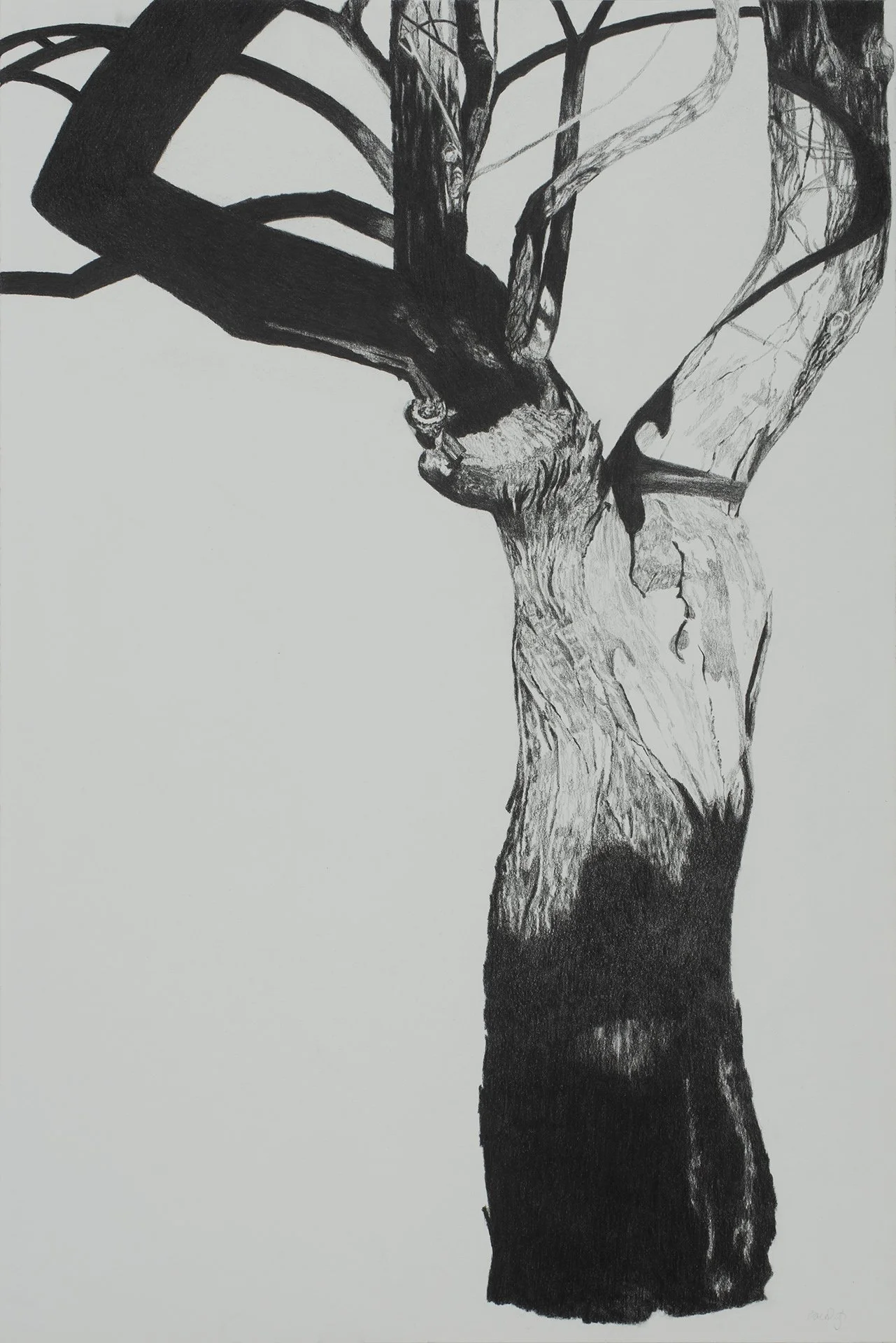 rule of trees