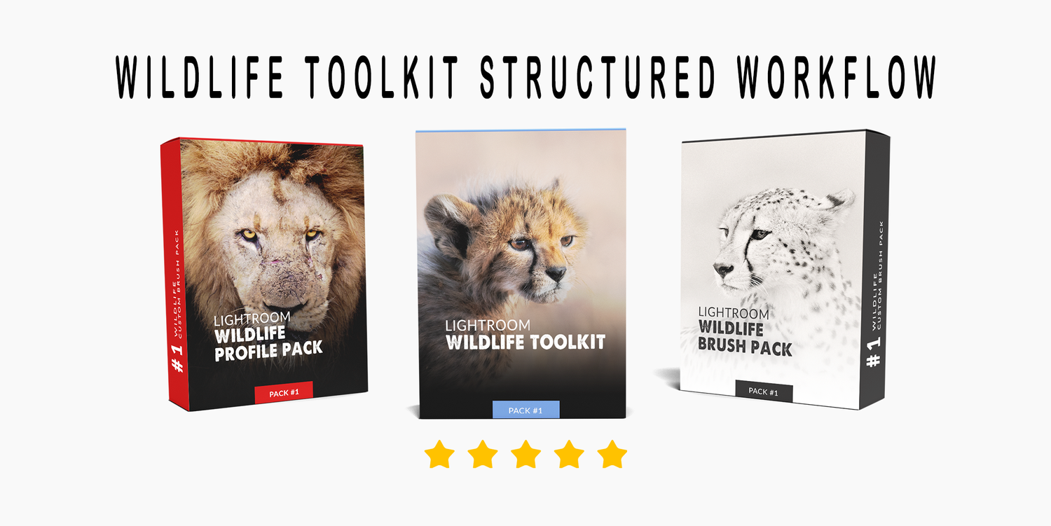 Is the Canon M50 a good camera for wildlife photography?